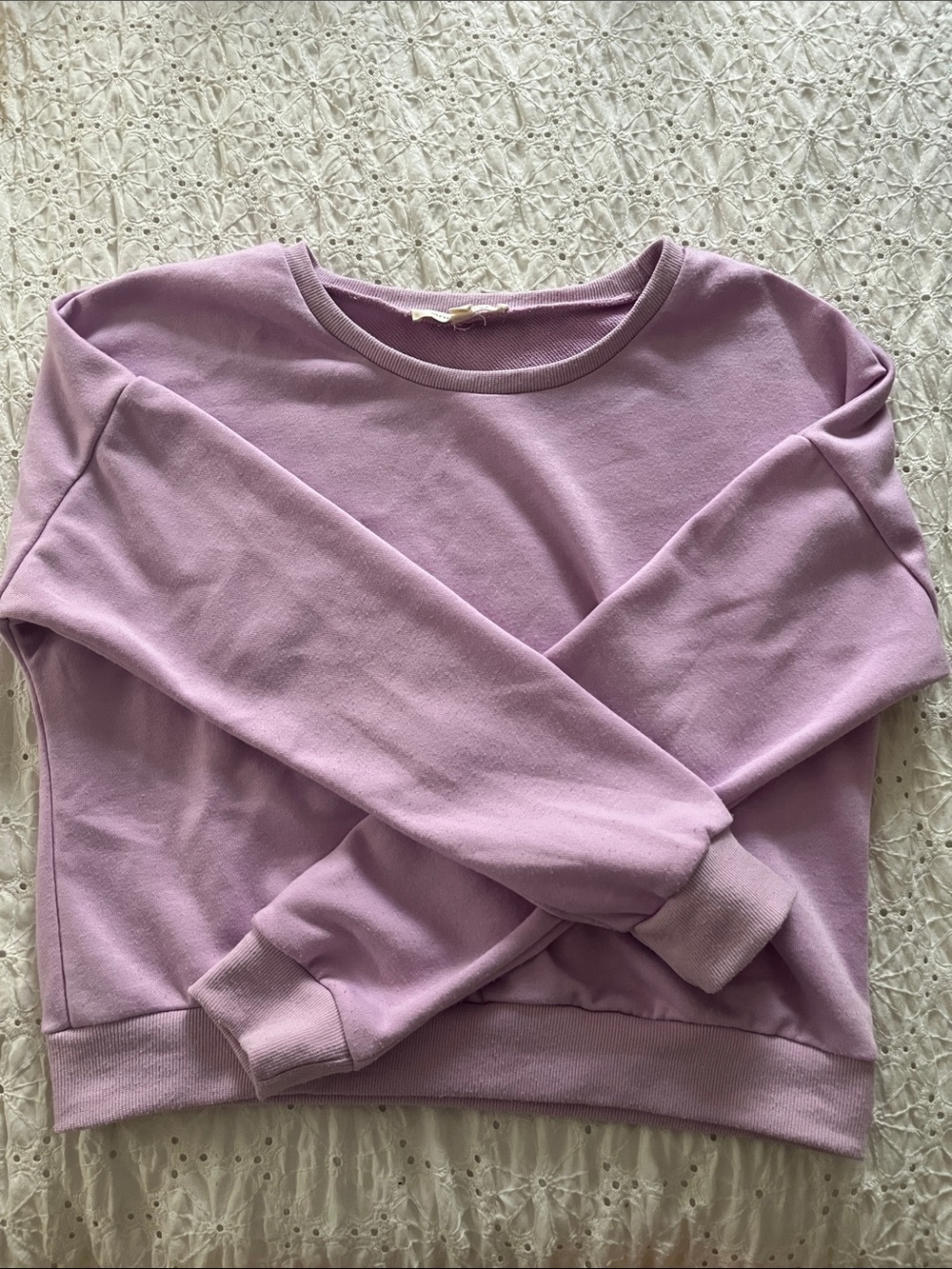 Cropped Lilac Crewneck Sweater - Women